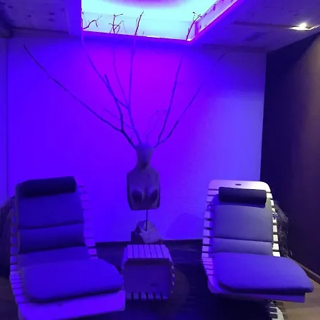 Fedaia Joy 酒店 3*