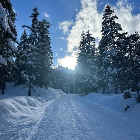 酒店 Fedaia Joy 卡纳泽伊