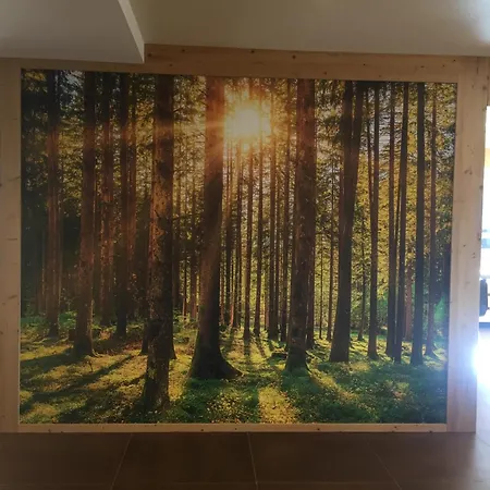 Fedaia Joy 3* 卡纳泽伊