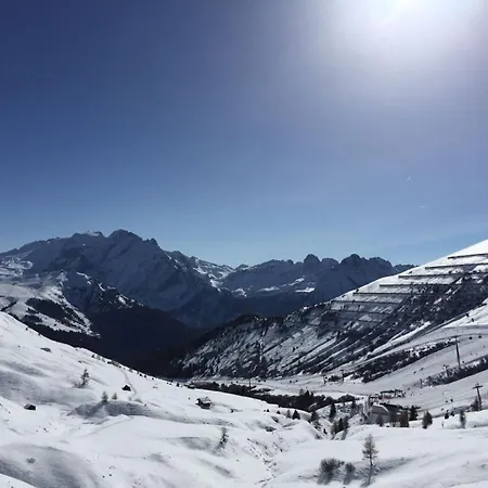 Fedaia Joy 卡纳泽伊