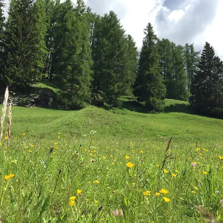 Fedaia Joy 酒店 卡纳泽伊