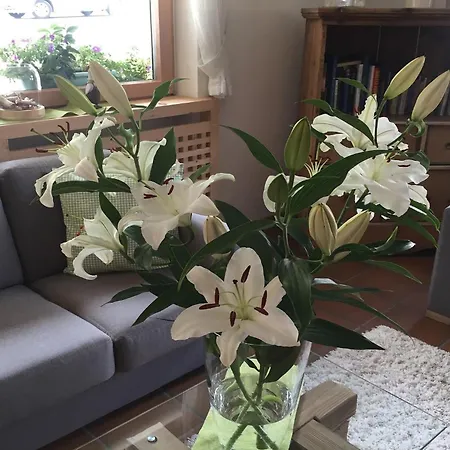 Fedaia Joy Szálloda Canazei