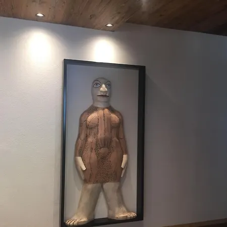 Fedaia Joy 酒店 3*