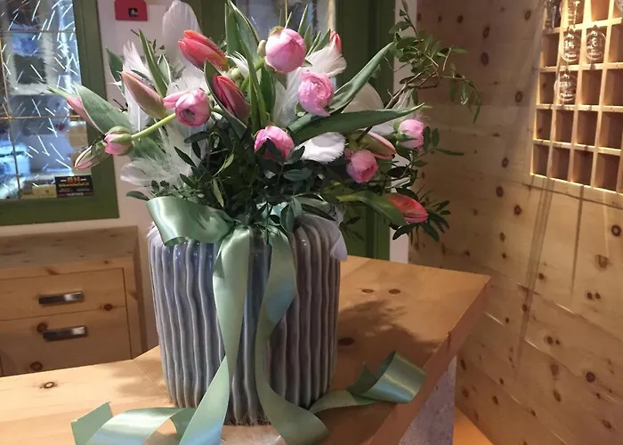 Fedaia Joy 3* Канацеи