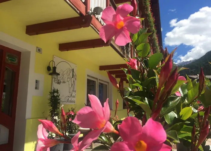 Fedaia Joy Hotell Canazei