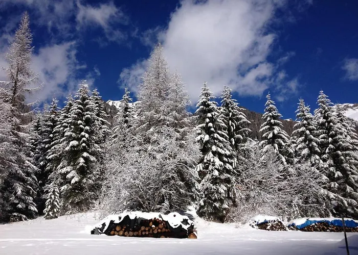 Fedaia Joy Канацеи