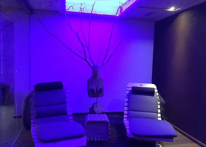 Fedaia Joy 酒店 3*