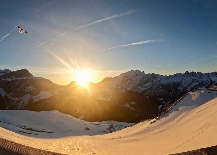 Fedaia Joy Hotell Canazei