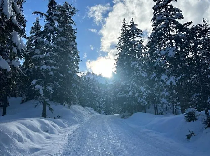 酒店 Fedaia Joy 卡纳泽伊