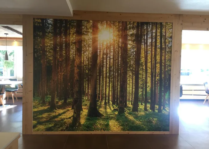 Fedaia Joy 3* 卡纳泽伊