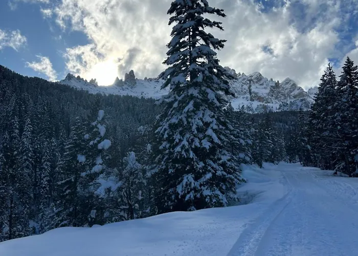 Fedaia Joy 3* Канацеи