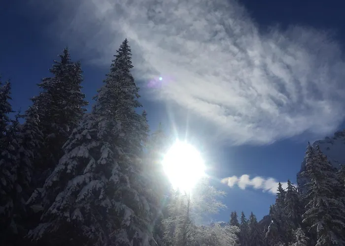 Готель Fedaia Joy Канацеї