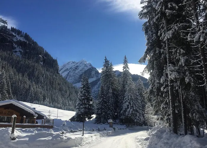 Отель Fedaia Joy 3*