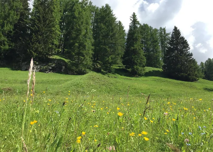 Fedaia Joy Отель Канацеи