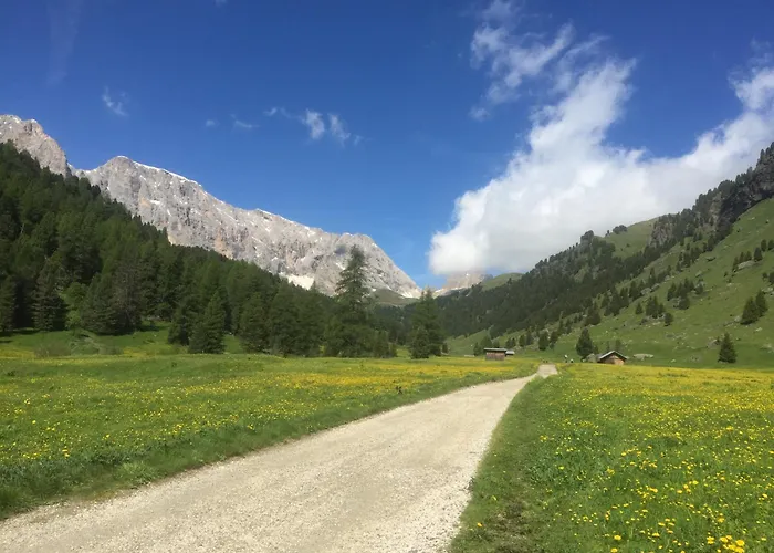 Hotell Fedaia Joy 3*