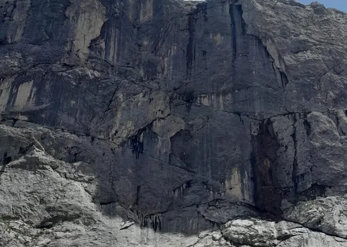 酒店 Fedaia Joy 3*